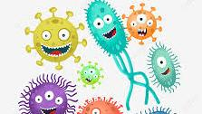 MICROBIOLOGIA 2